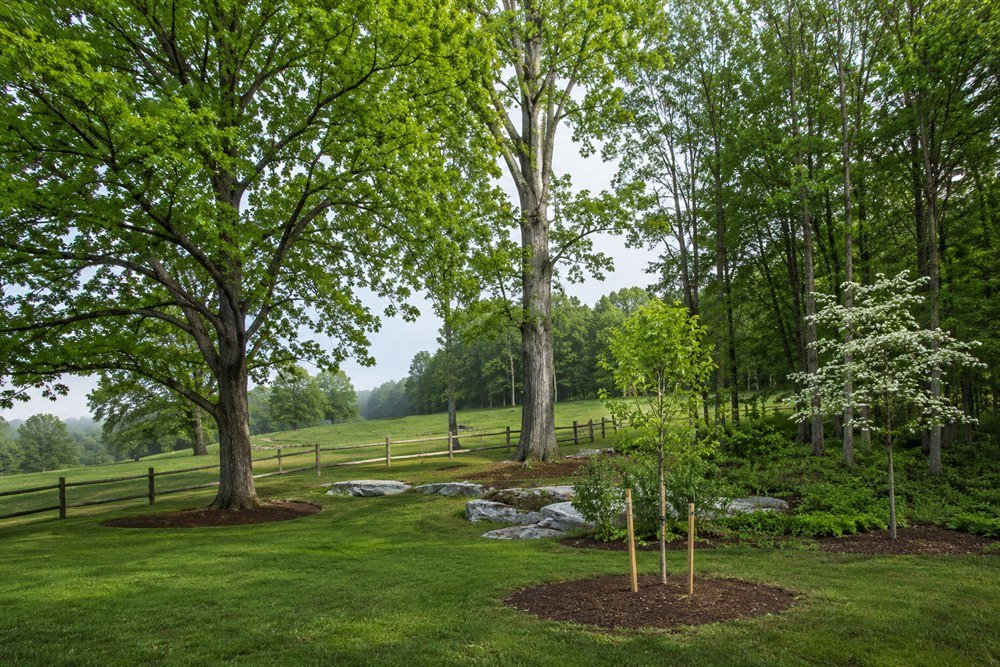 Care for Local Trees