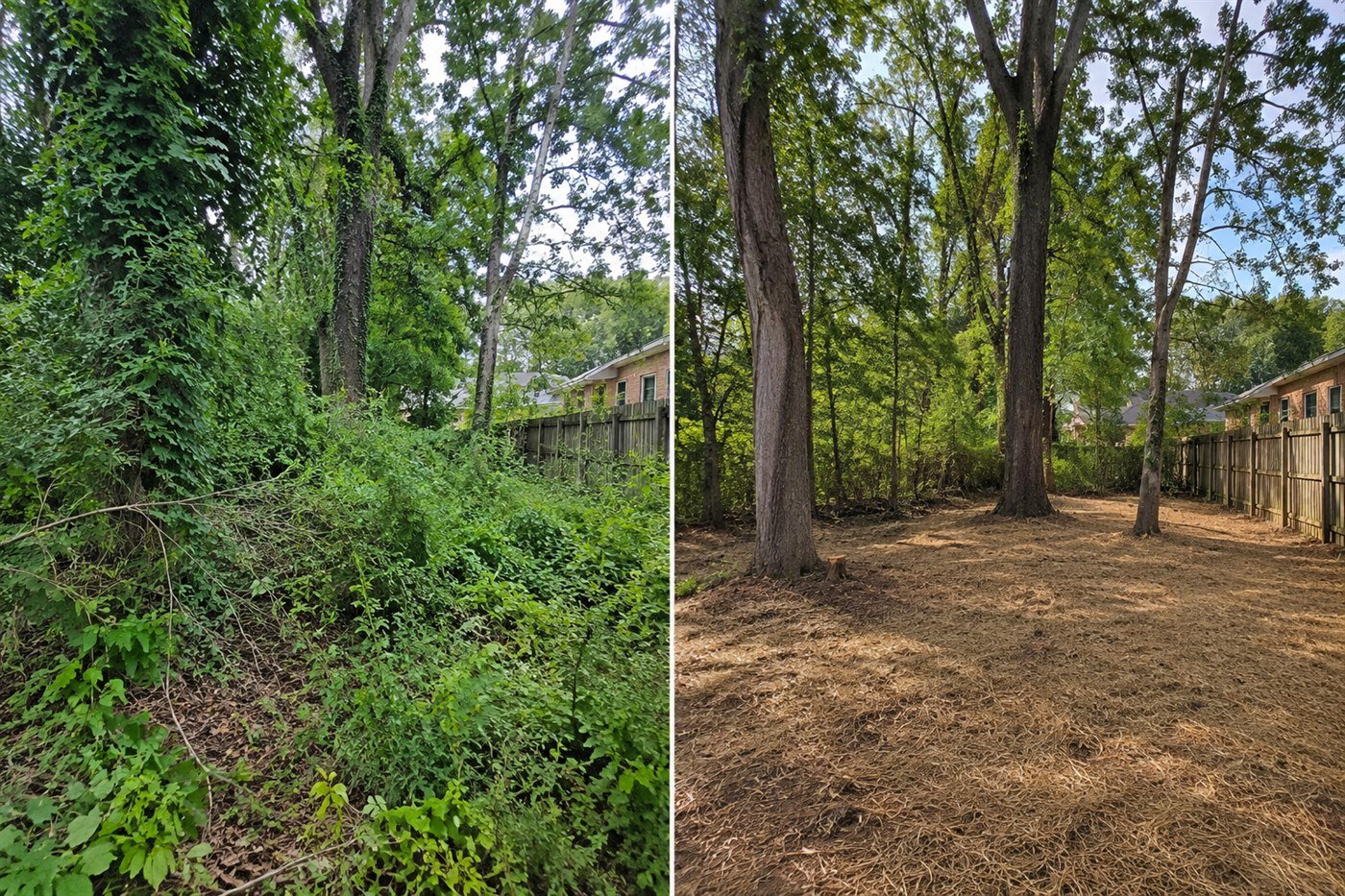 Lot & Brush Clearing