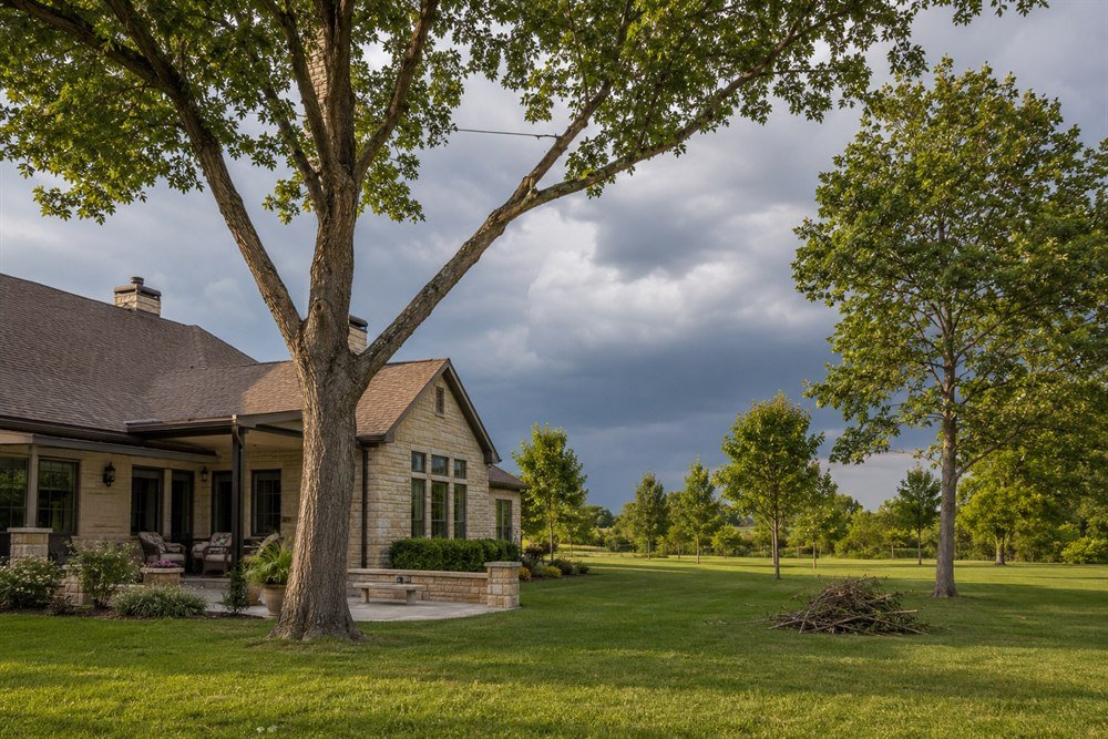 Preparing Your Trees for Storm Season